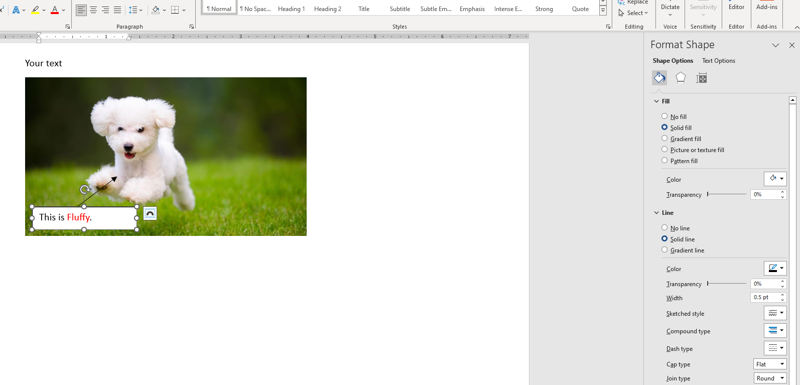 Microsoft Word Format Picture