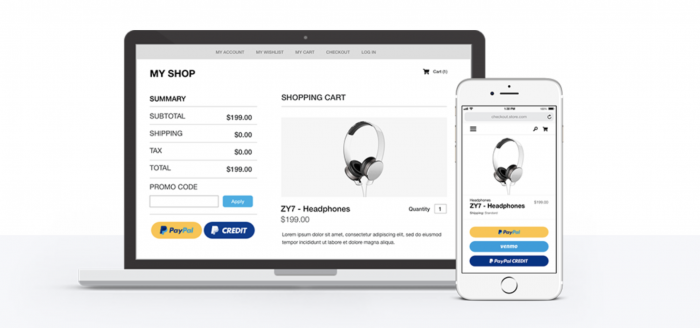 Qu'est-ce qu'un compte PayPal professionnel ? Image-1