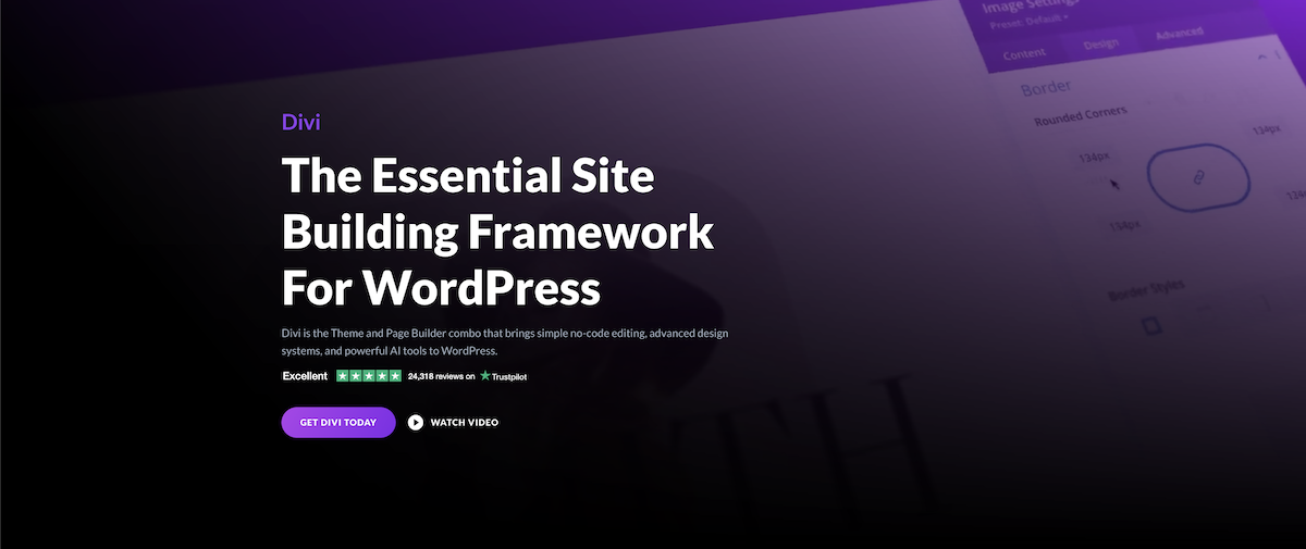 Screenshot of Divi's homepage