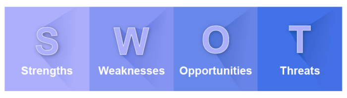 SWOT Analyse