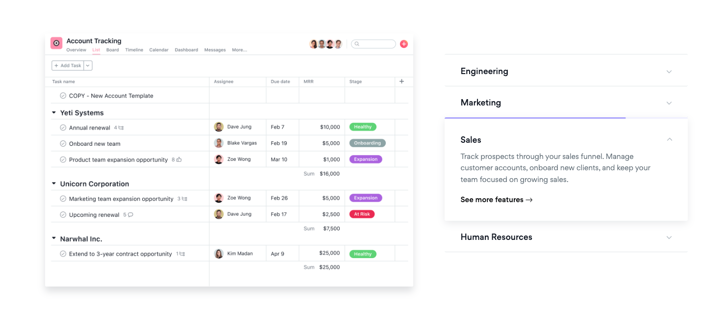 Image of Asana 