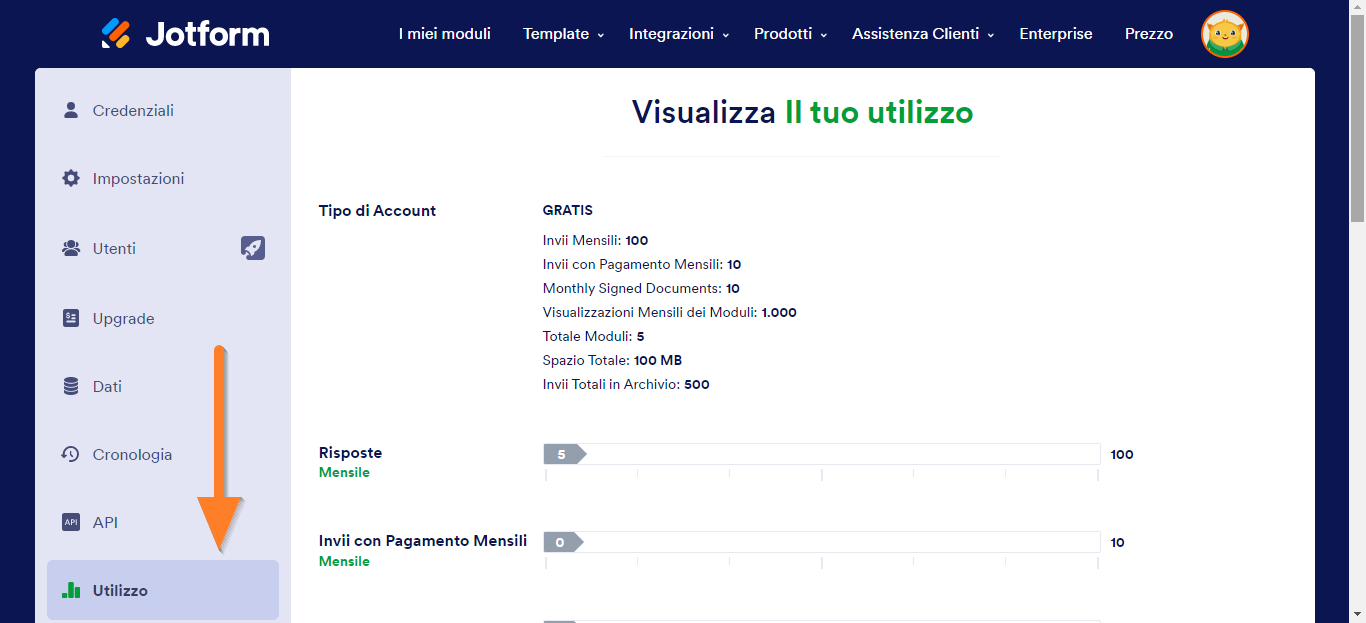 Comprendere l'Utilizzo e i Limiti del Tuo Account Image-2