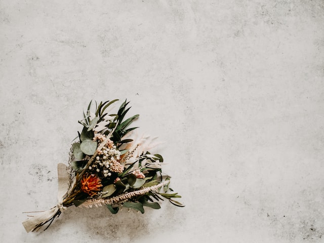 50 Beautiful Examples of Flower Photography Image-13