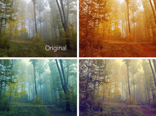 Photoshop Add-ons: Discover Actions, Filters, Plugins, and Panels Image-15
