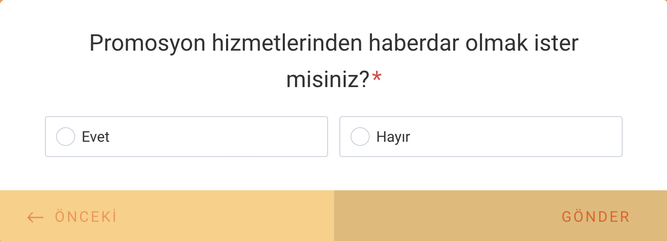 Online Formlarda ve Anketlerde Evet veya Hayır Soruları Image-1