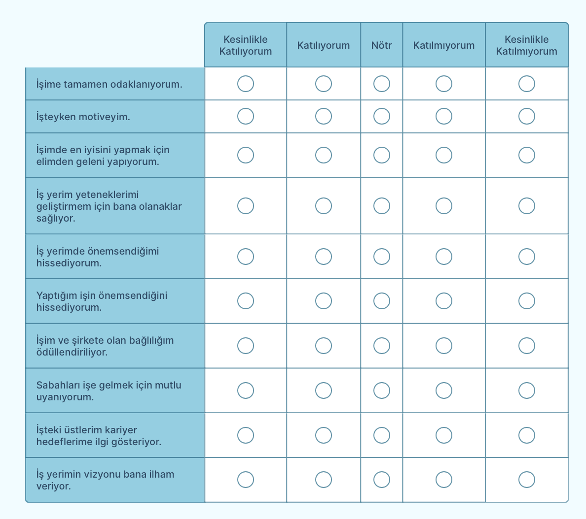 Likert Ölçeği Anket Soruları ve Örnekleri Image-3
