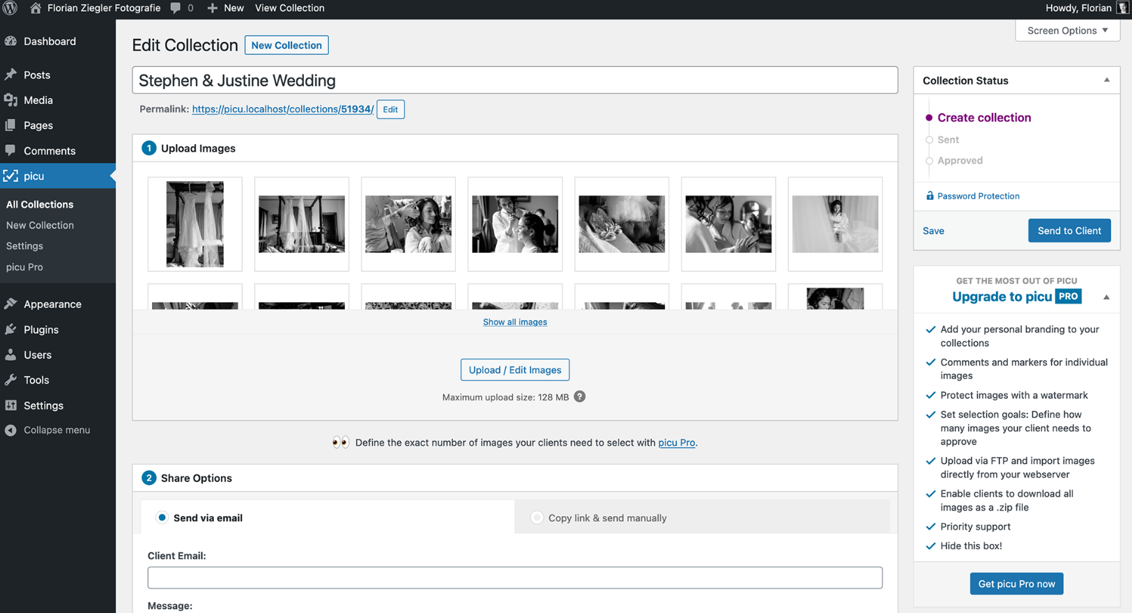 Screenshot of Picu