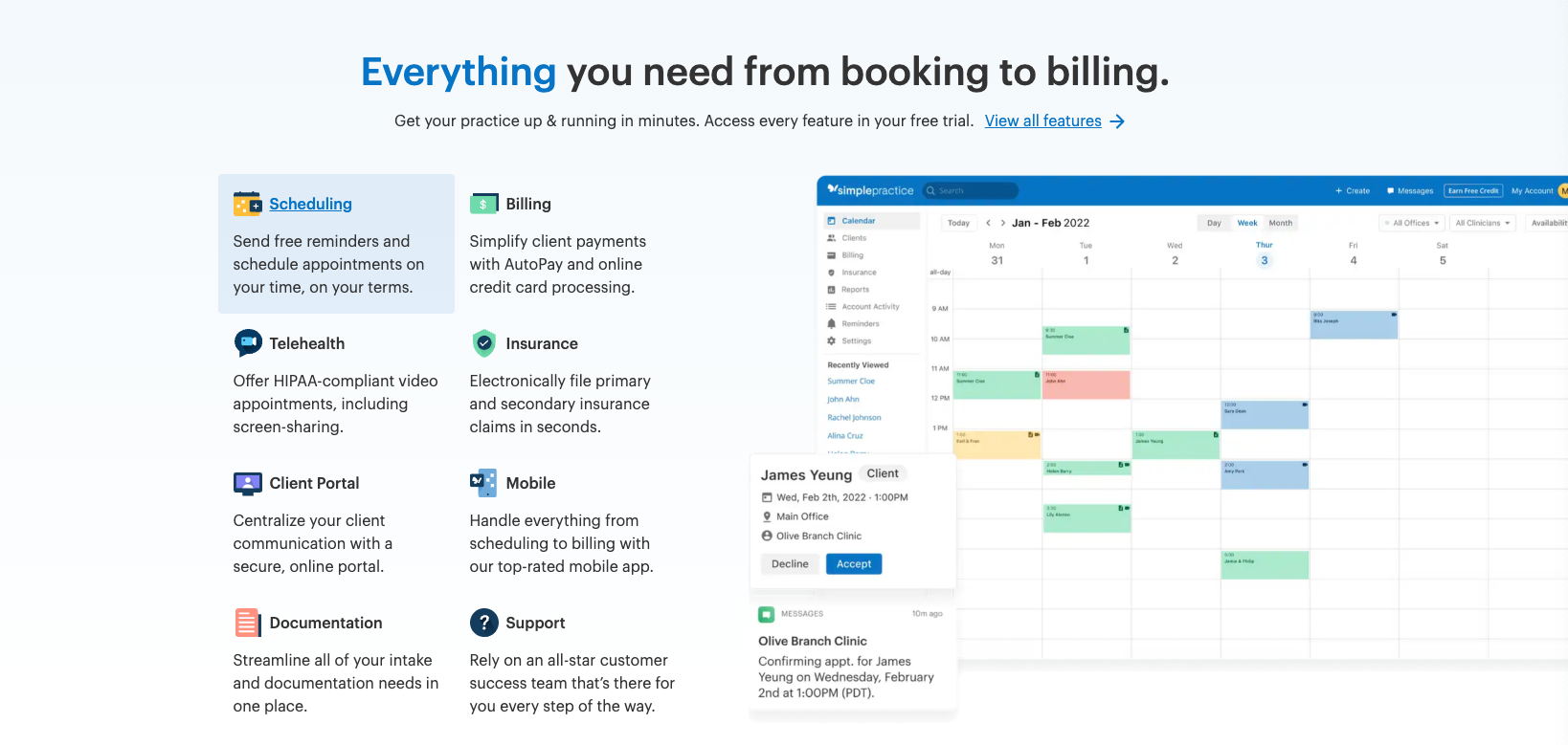 Screenshot of SimplePractice