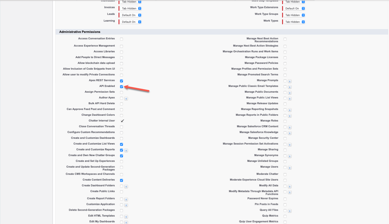 Image of Administrative Permissions sets with a blue checkbox next to API Enabled