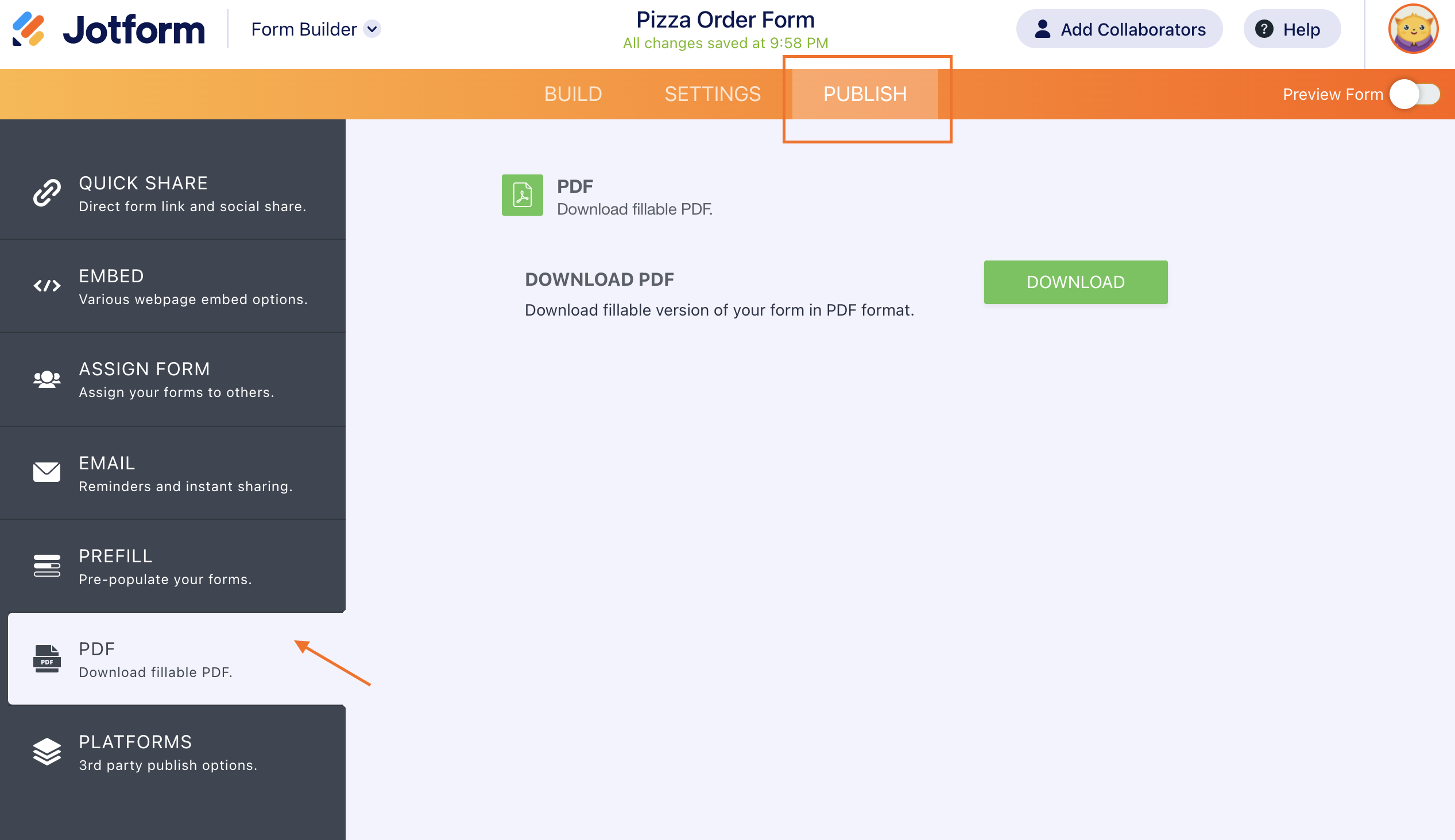 Screenshot of the PDF Section to Download PDF Version of the Form under Publish Tab