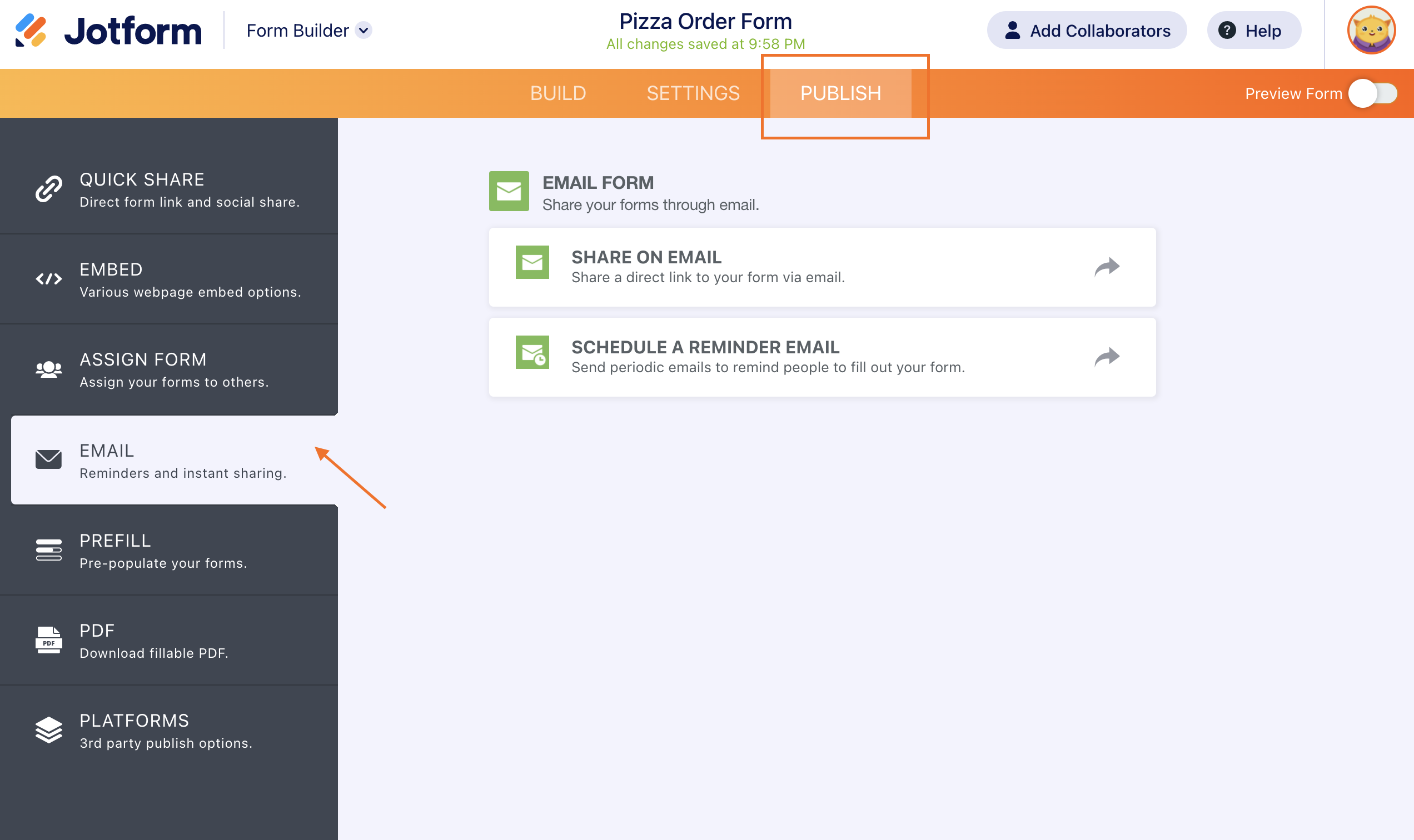 Screenshot of the Email Section Under Publish Tab