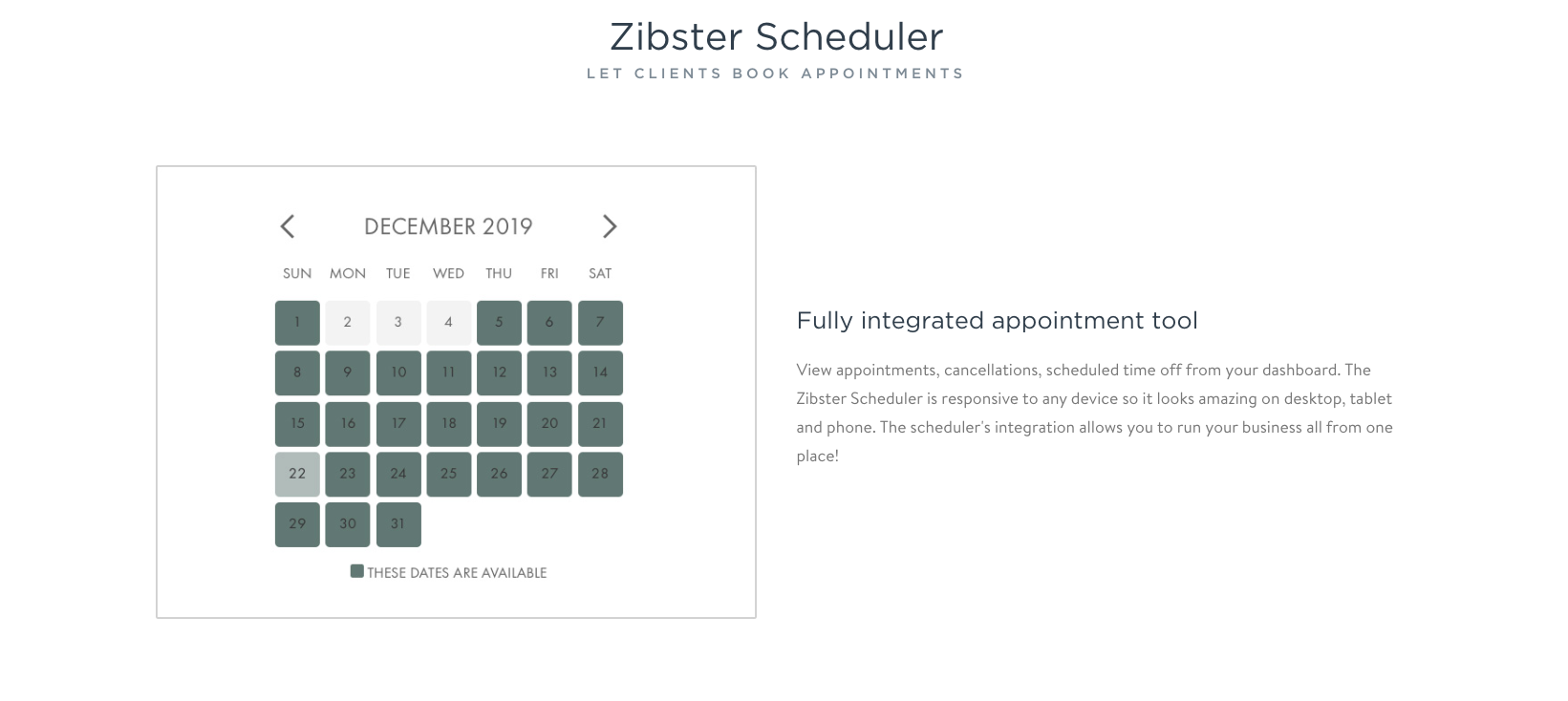 Screenshot of zibster
