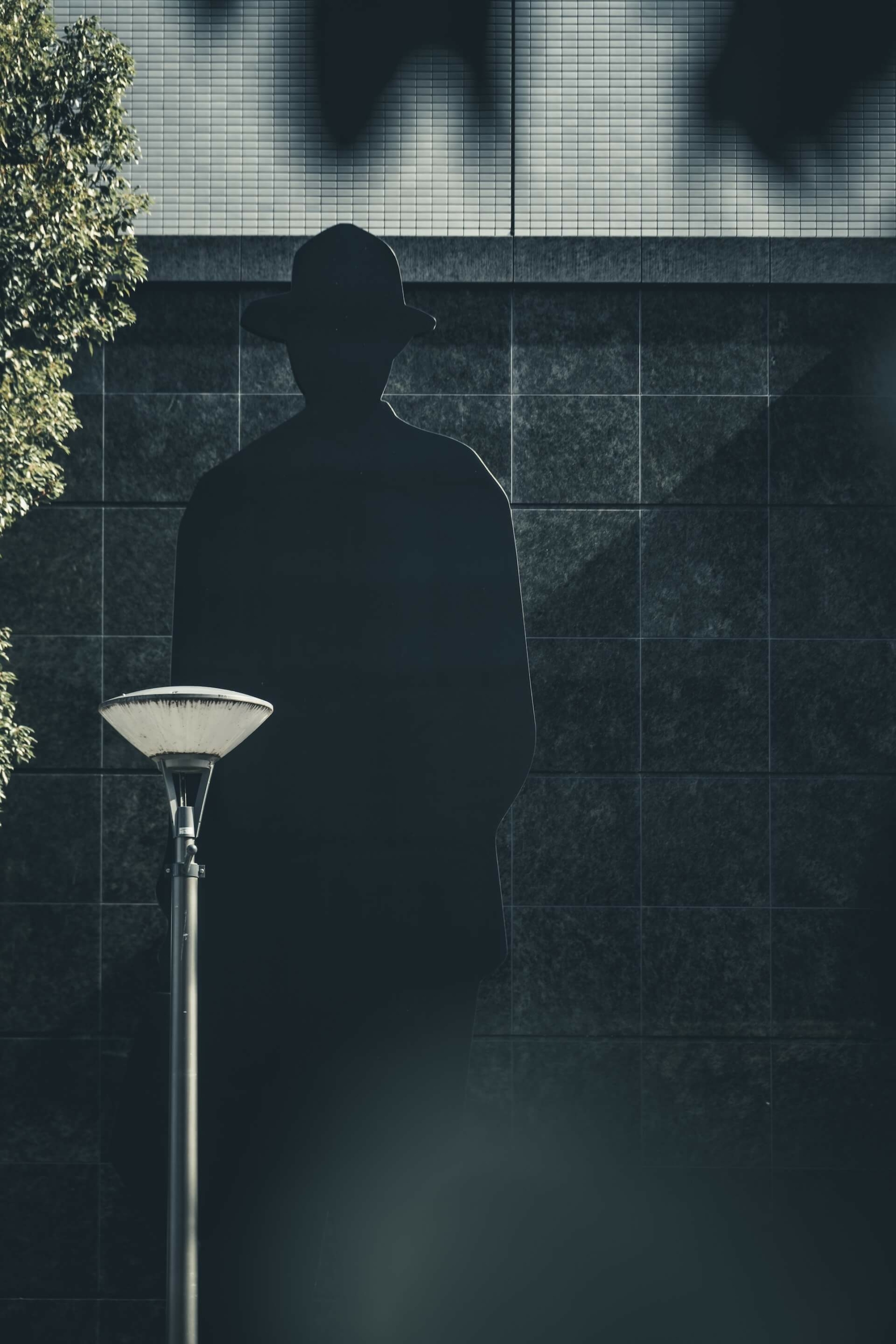 50 High Quality Examples Of Silhouette Photography Image-18