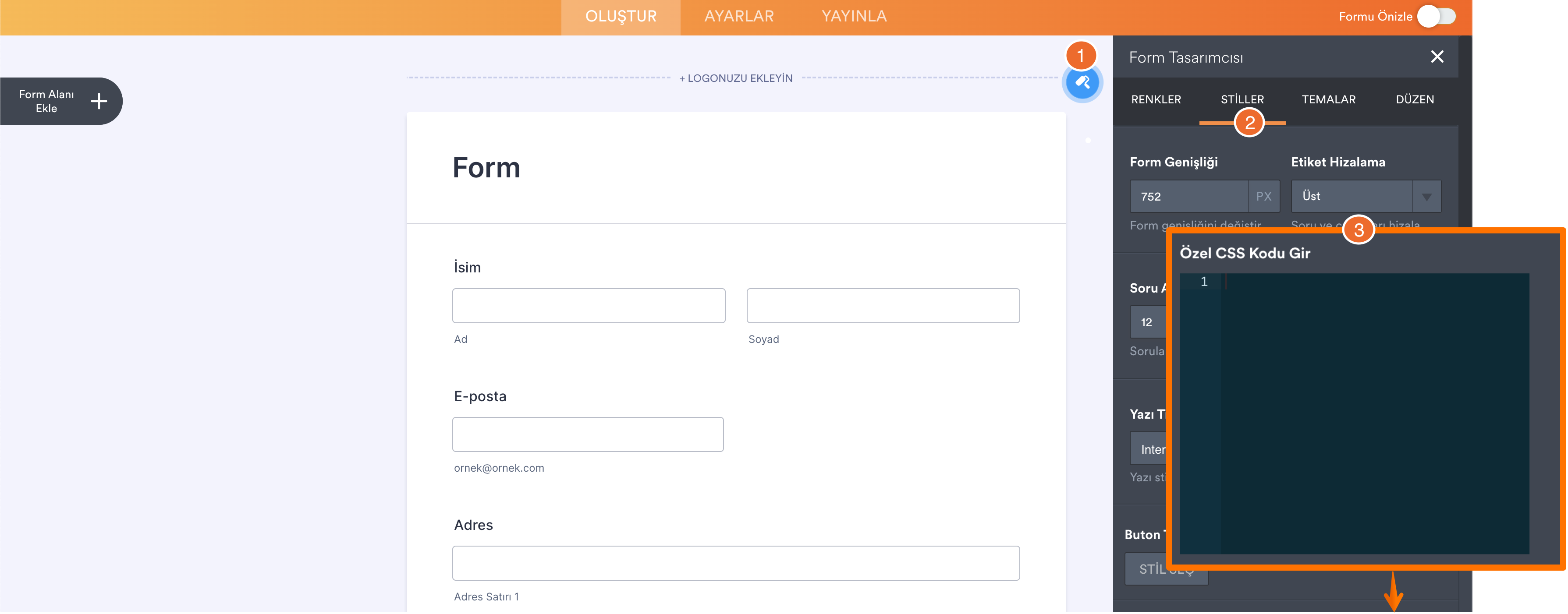 Form Oluşturucu'da Özel CSS Kodu gir