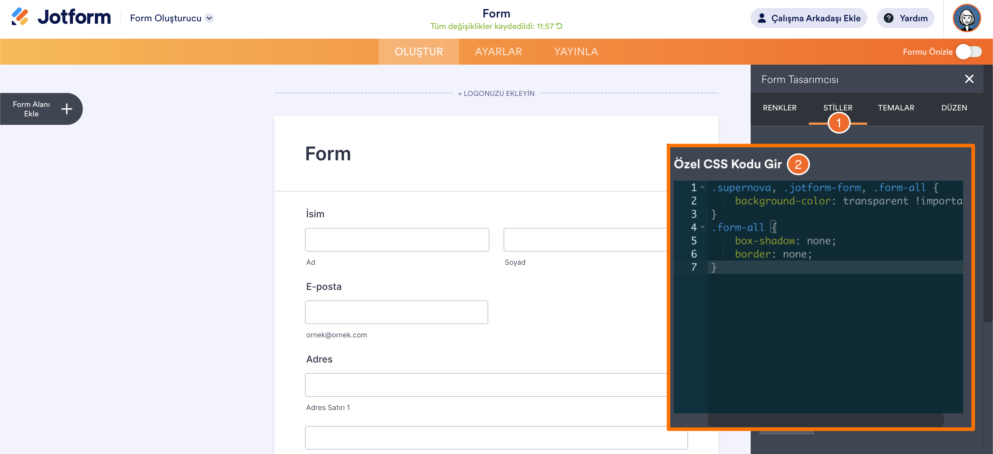 Form Oluşturucu'da Özel CSS Kodu Gir