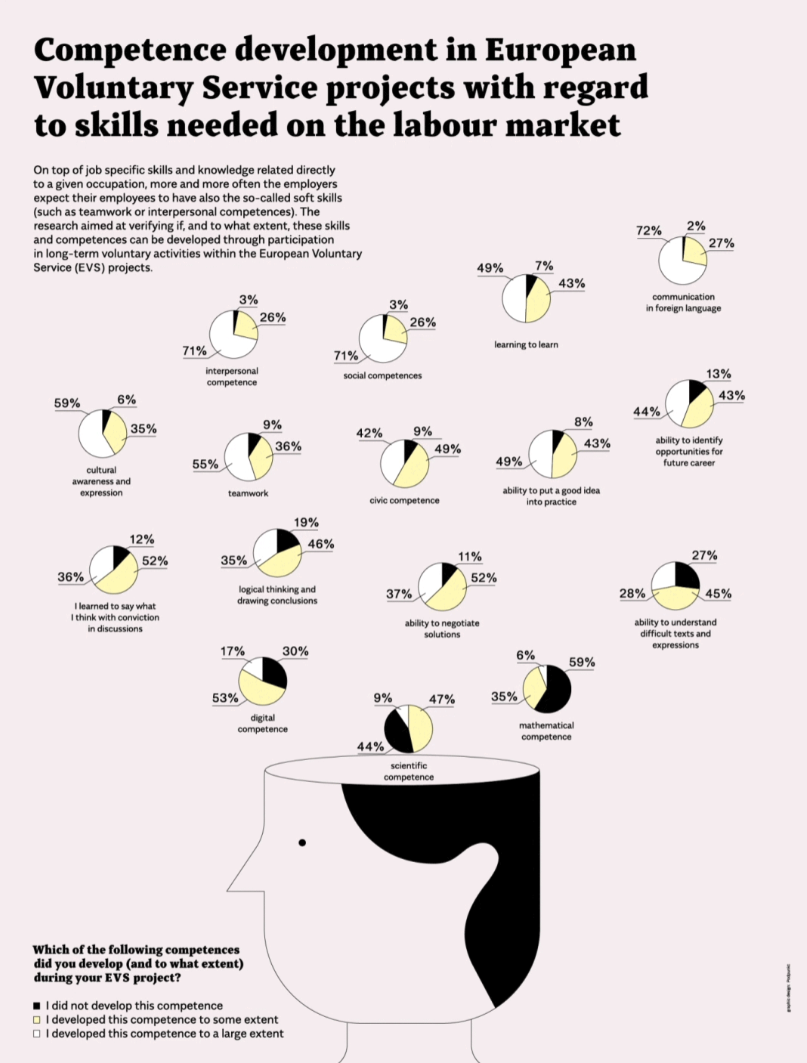 Competence Development in European Voluntary Service Projects With Regard To Skills Needed on the Labour Market Infographic