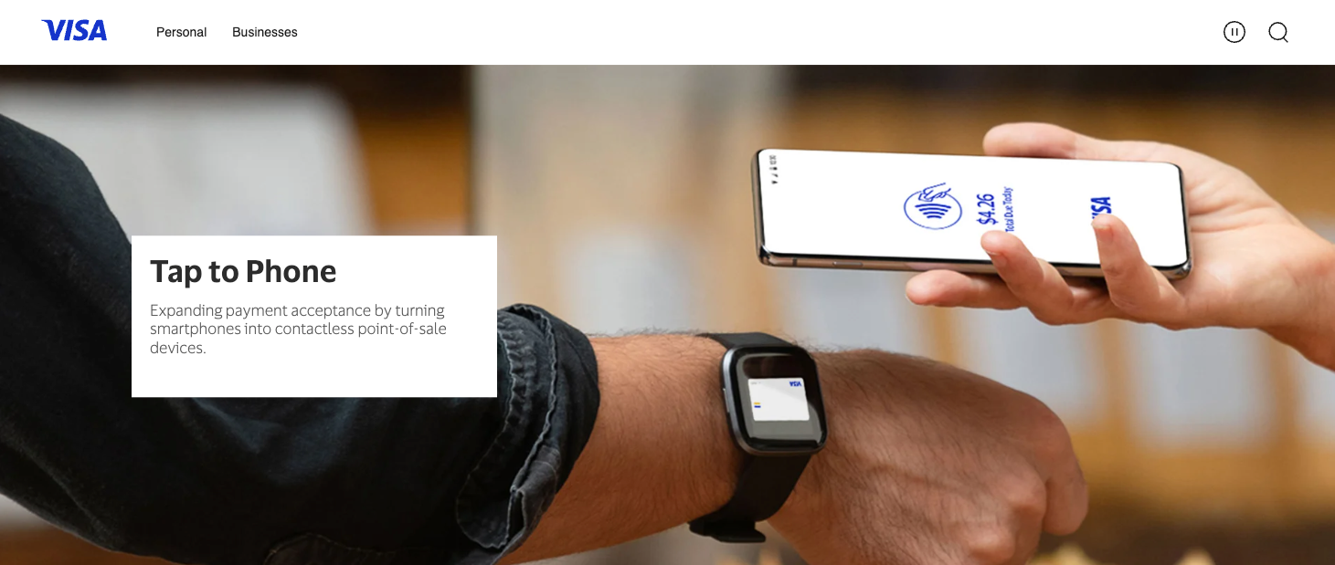 Visa Landing Page