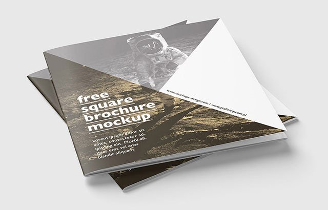2026 Style Offensive: 30 Free-to-Use Mockups Image-7