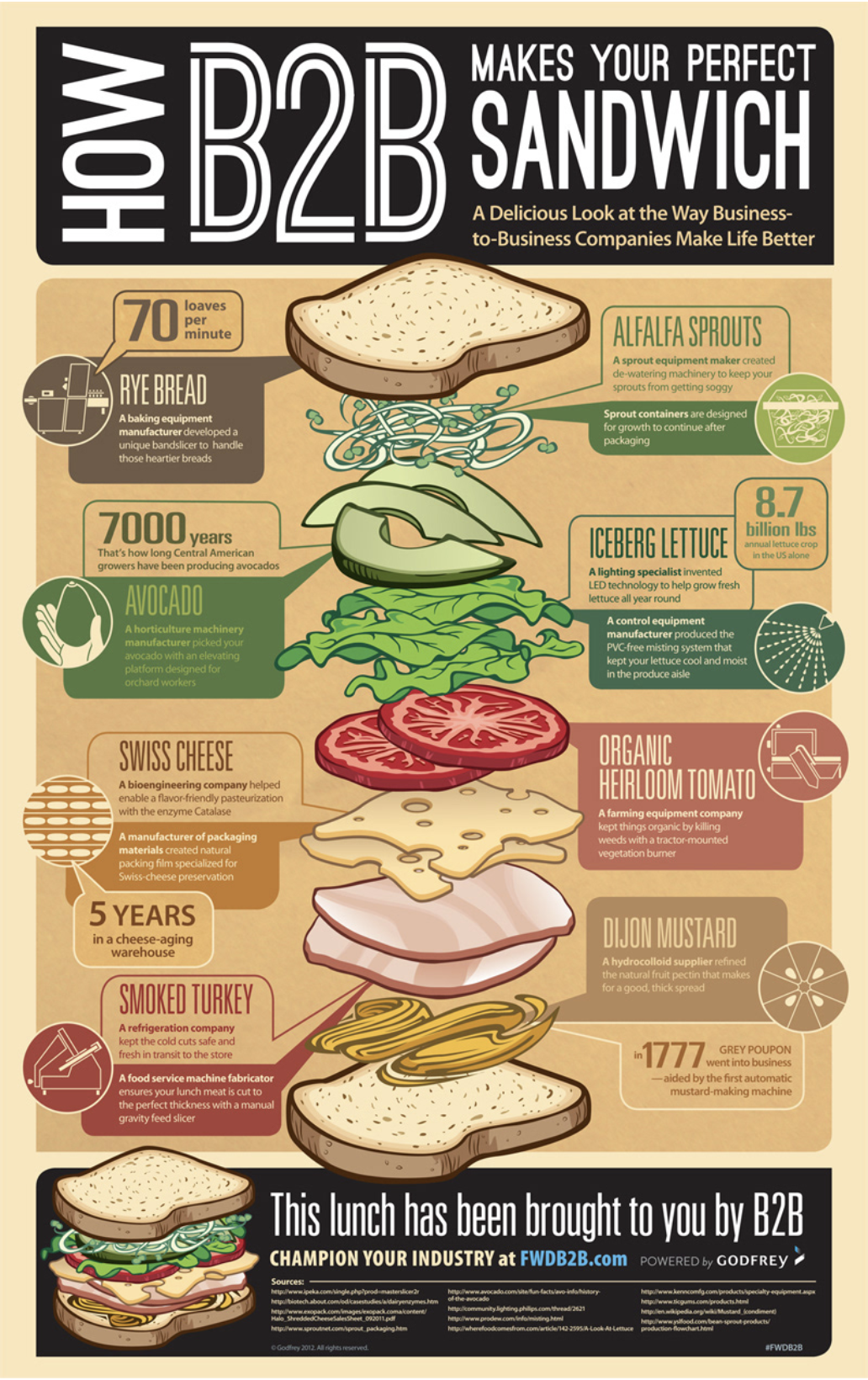 BBQ Sandwich Infographic