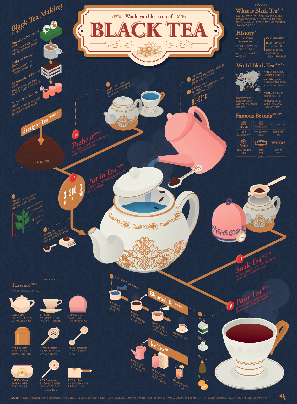 Black Tea Infographic Poster