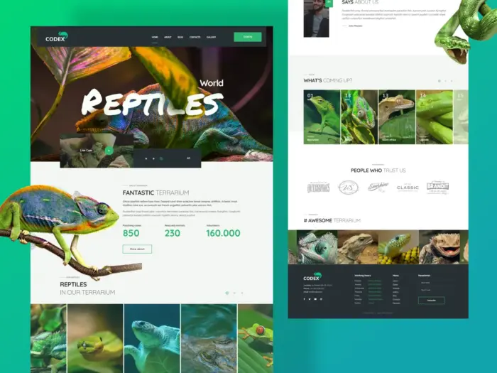 100 Free PSD Website Templates of 2015 Image-20