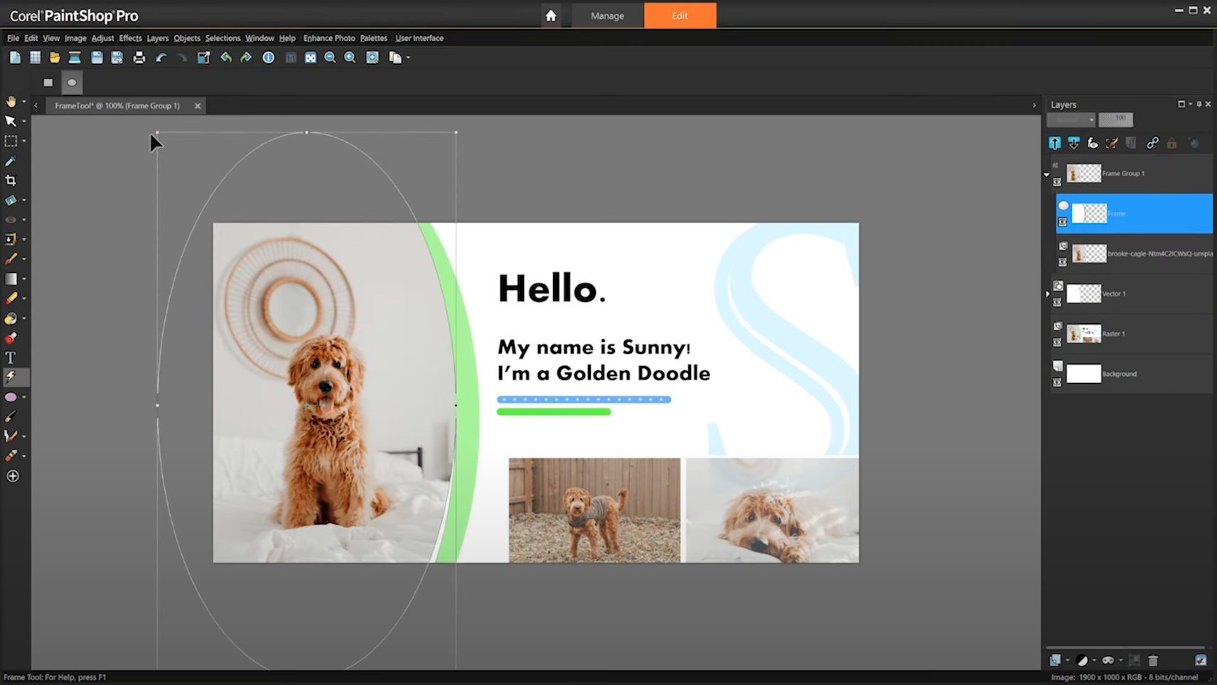 Not Up For Creative Cloud? 10 Professional Alternatives to Photoshop CC in 2026 Image-2