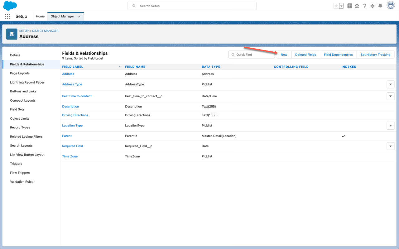 Fields and Relationships Tab of Address Object Clicking on New