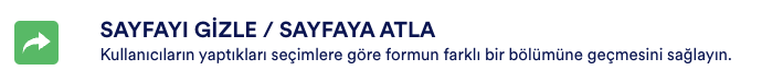 Akıllı Formlar: Online Formlar için Koşullu Mantık Image-5