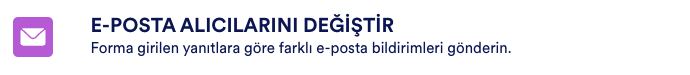 Akıllı Formlar: Online Formlar için Koşullu Mantık Image-7