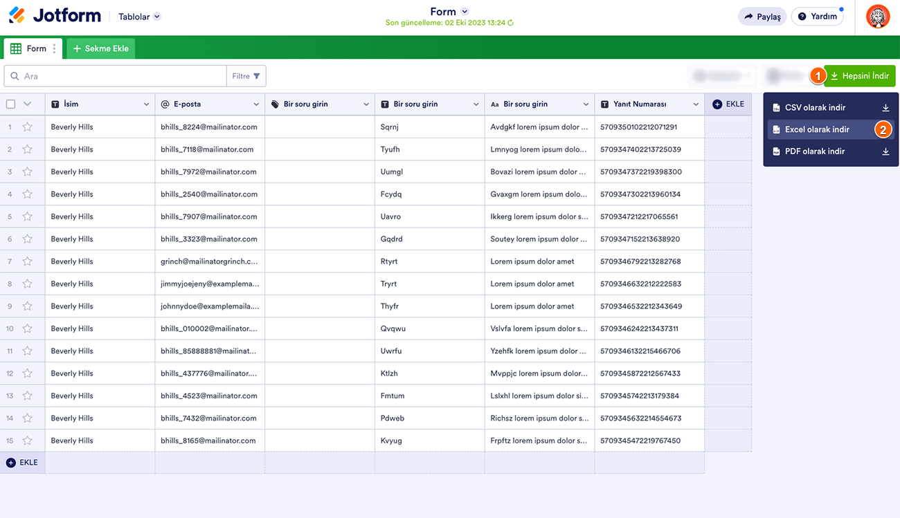 Form Verilerini Excel Olarak Dışa Aktarma Image-2