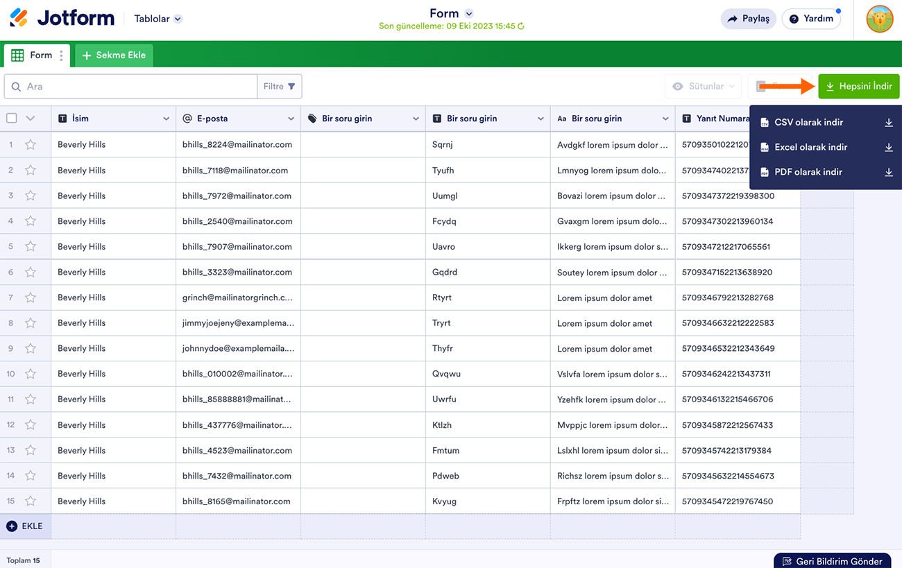 Form Yanıtlarını Excel/CSV/PDF Olarak İndirme Image-1