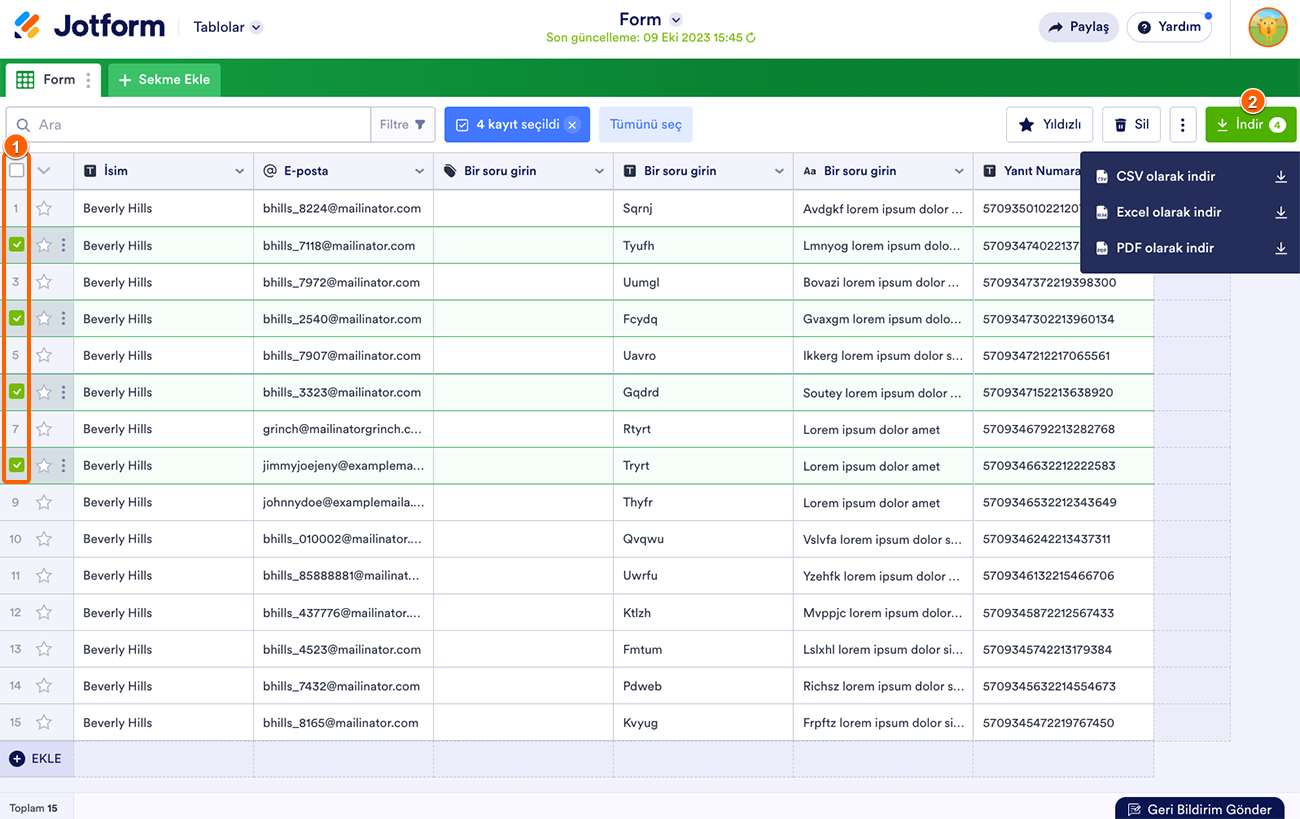 Form Yanıtlarını Excel/CSV/PDF Olarak İndirme Image-2
