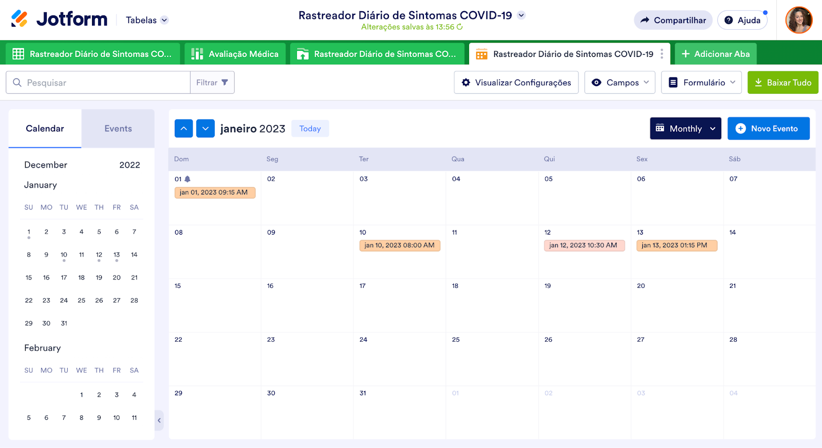 Captura de tela da Visualização em Calendário