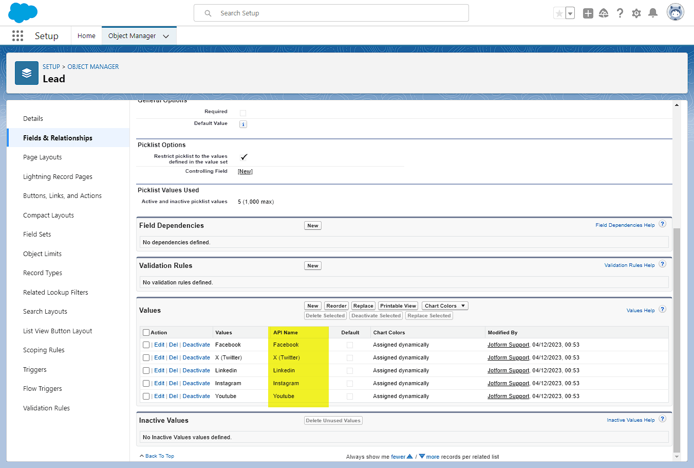 Salesforce picklist API Names