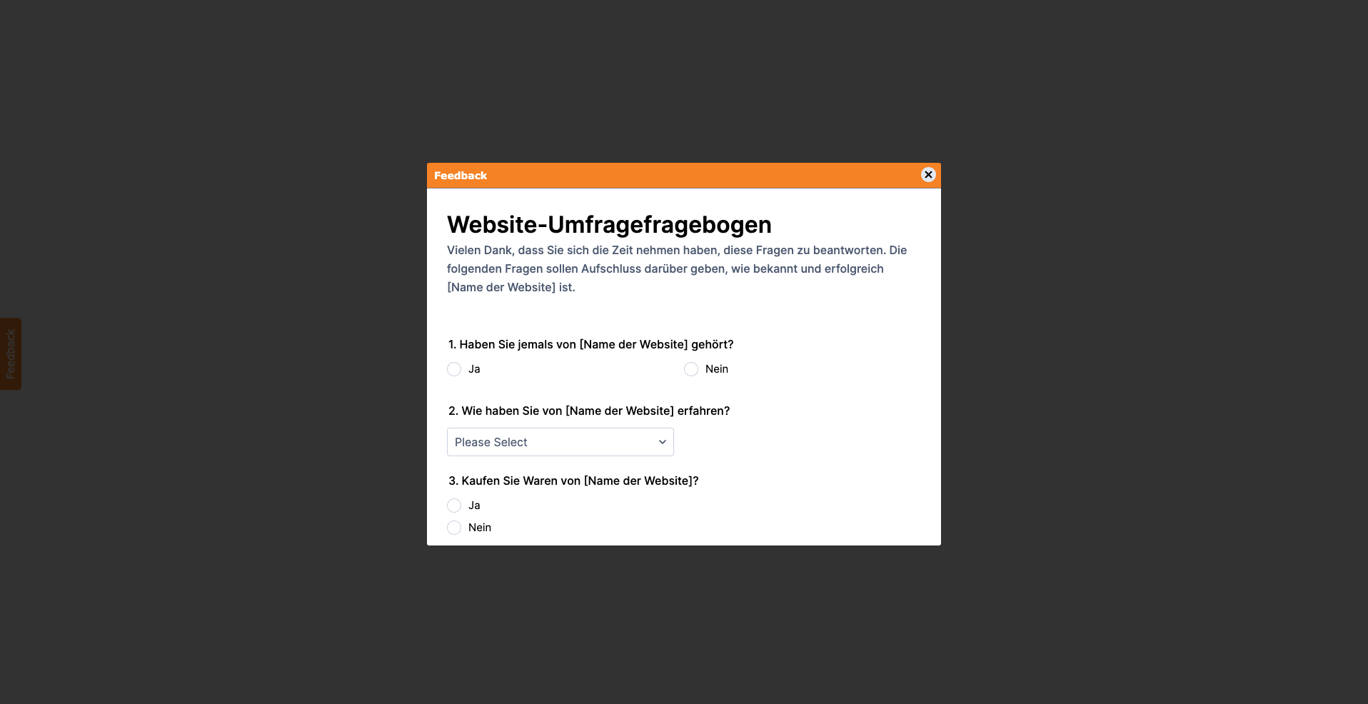 Screenshot der "Website Fragebogen Formular" in einer Leuchtkasten-Vorschau