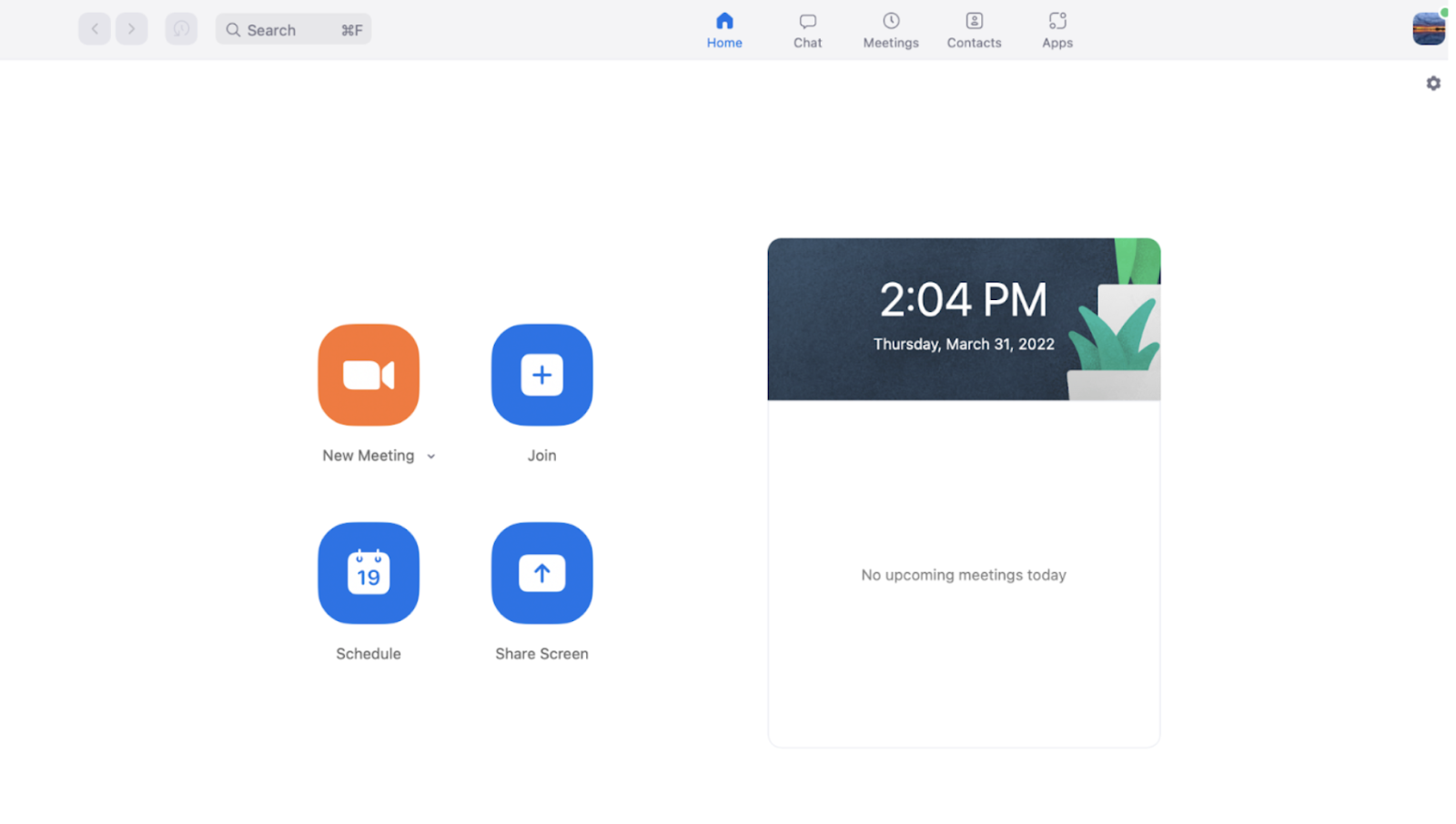 user interface of zoom