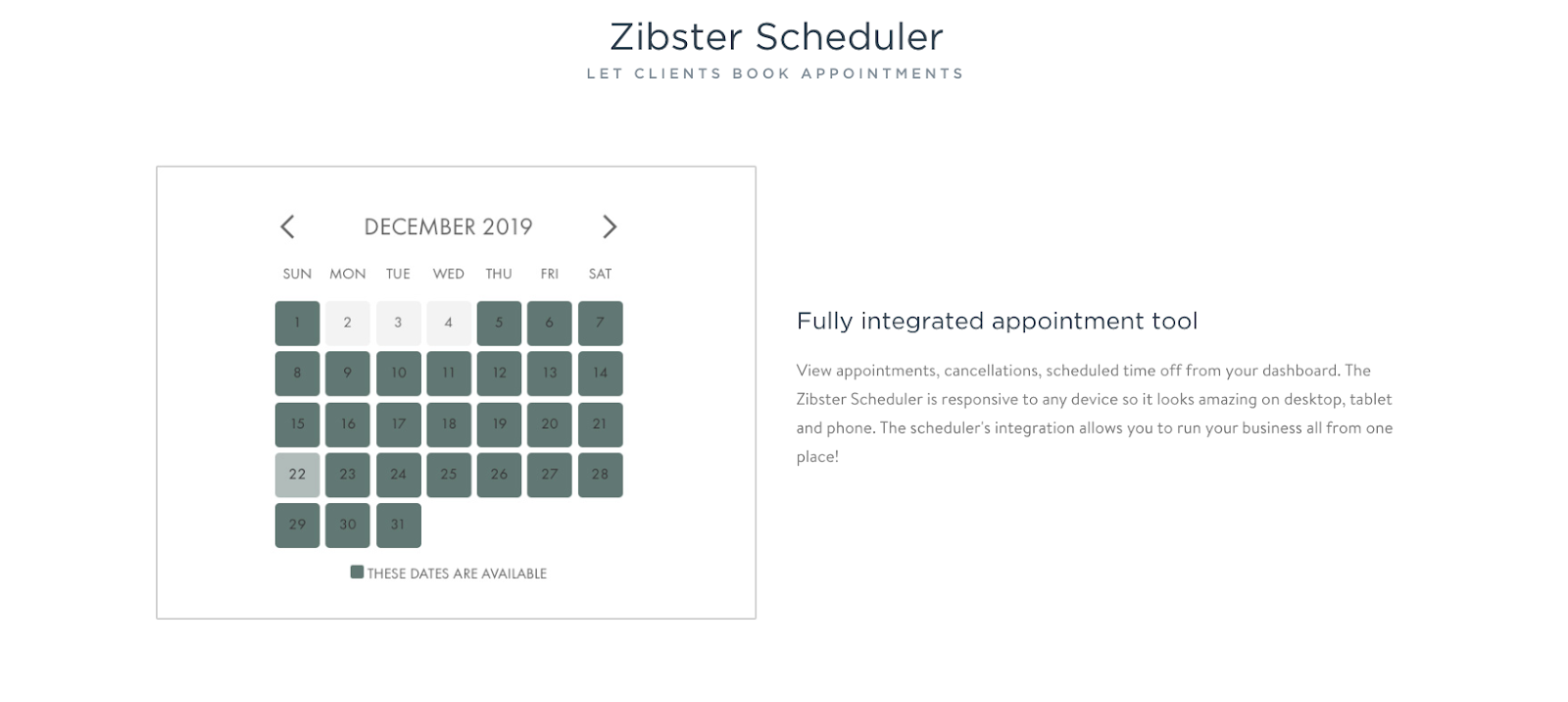 Zibster Landing Page