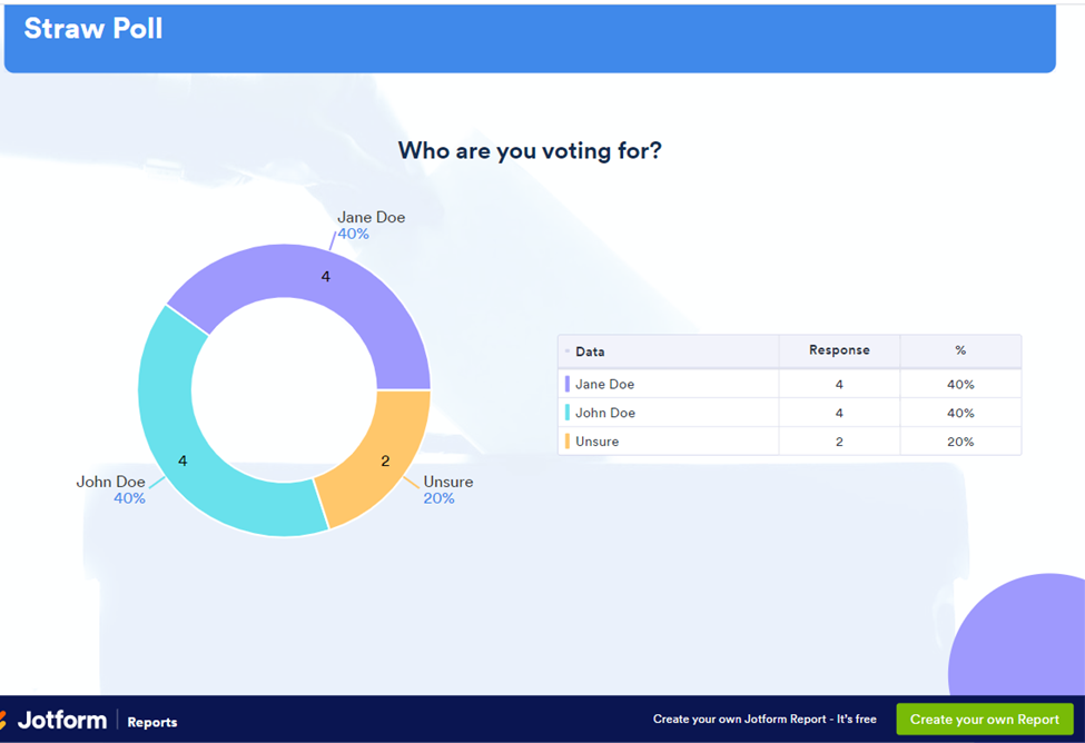 Survey report examples with informative visuals Image-1