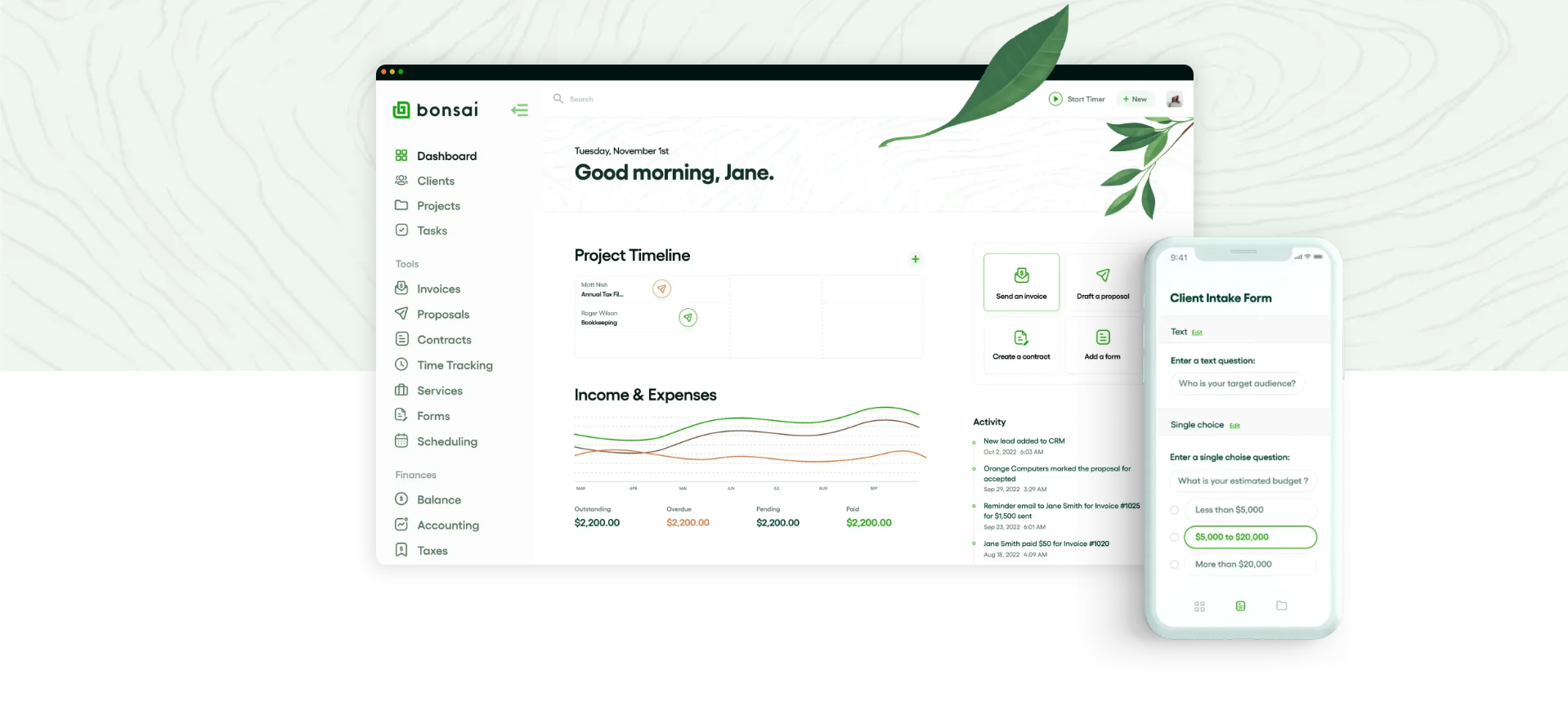 User Interface of Bonsai