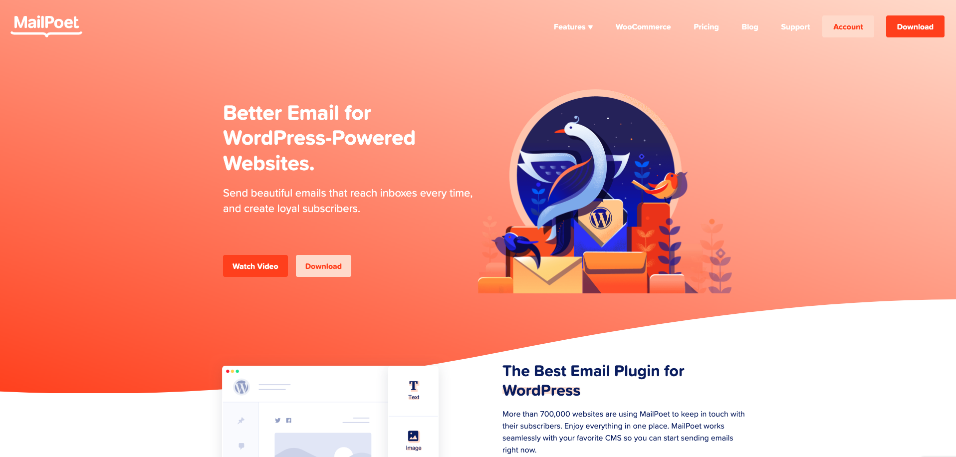 MailPoet Landing Page