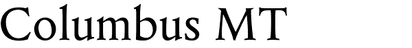 Serif Fonts and Their Peculiarities Image-12