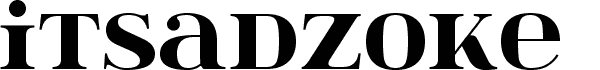 Serif Fonts and Their Peculiarities Image-14