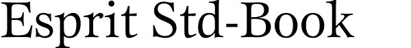 Serif Fonts and Their Peculiarities Image-21