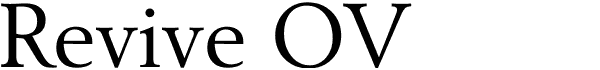 Serif Fonts and Their Peculiarities Image-25