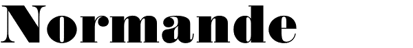 Serif Fonts and Their Peculiarities Image-29