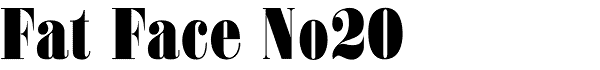 Serif Fonts and Their Peculiarities Image-30