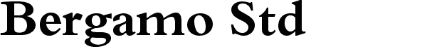 Serif Fonts and Their Peculiarities Image-5
