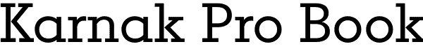 Serif Fonts and Their Peculiarities Image-37
