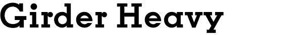Serif Fonts and Their Peculiarities Image-39