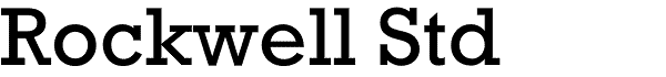 Serif Fonts and Their Peculiarities Image-41